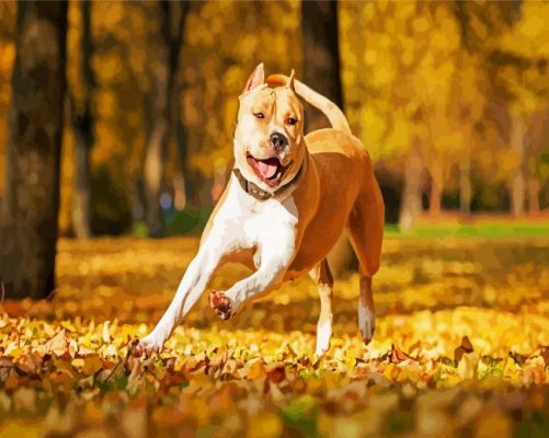 Happy Staffordshire Paint By Number