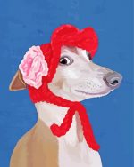 Italian Greyhound With Woolly Hat Paint By Number