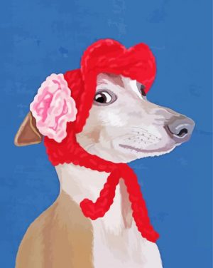 Italian Greyhound With Woolly Hat Paint By Number