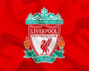 Liverpool Football Emblem Paint By Numbers