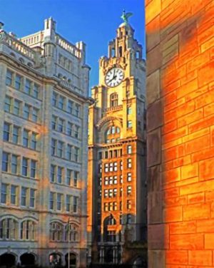 Liver Building Paint By Numbers