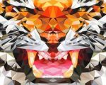 Mad Geometric Tiger Paint By Numbers
