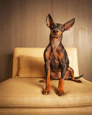 Mini Doberman Paint By Number