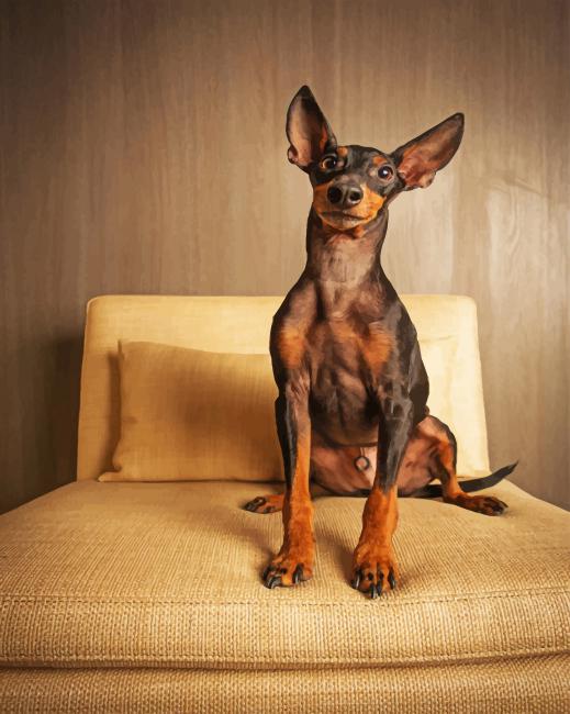 Mini Doberman Paint By Number