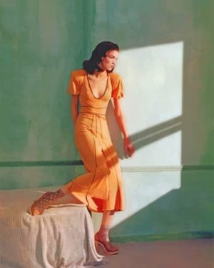 Morning Sun Hopper Paint By Number