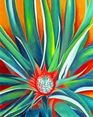 O Keeffe Pineapple Bud Paint By Numbers