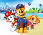 Paw Patrol Animation Paint By Number