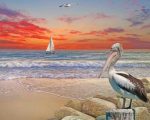 Pelican Bird In Beach Paint By Numbers