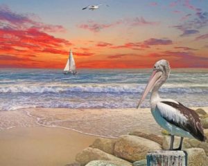 Pelican Bird In Beach Paint By Numbers