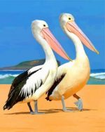 Black And White Pelicans paint By Numbers