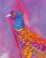 Pheasant Bird Art Paint By Number