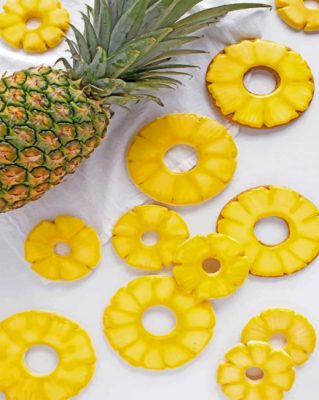 Sliced Pineapple Paint By Numbers