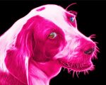 Pink Beagle Paint By Number