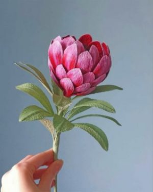 Pretty Protea Paint By Numbers