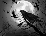 Raven And Moon Paint By Numbers