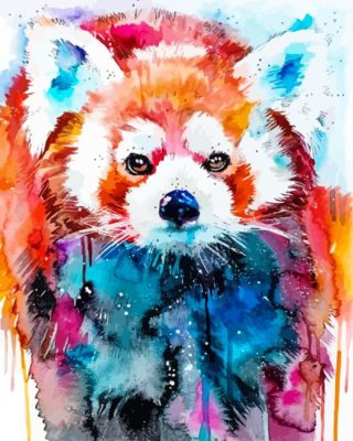 Red Panda Art Paint By Number
