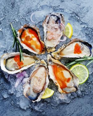 Tasty Oyster paint by numbers