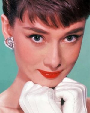 The Beautiful Audrey Hepburn Paint By Number