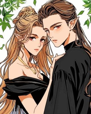 Acotar Elves Couple Art Paint By Number