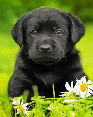Aesthetic Labrador Retriever Paint By Number