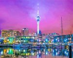 Auckland Night Paint By Number