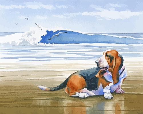 Basset Hound Puppies