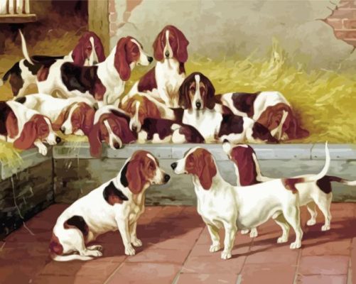 Basset Hound Puppies Paint By Number