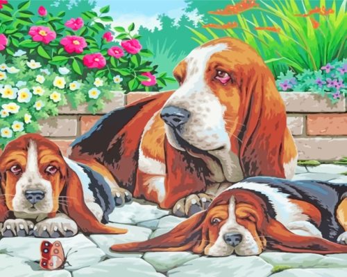 Basset Hounds Family Paint By Number