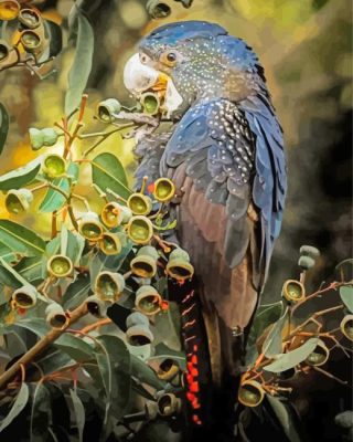 Black Cockatoo Eating Paint By Number