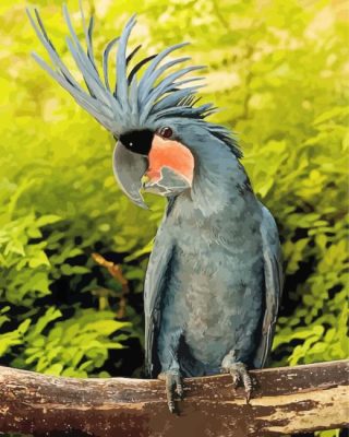 Black Cockatoo Paint By Number