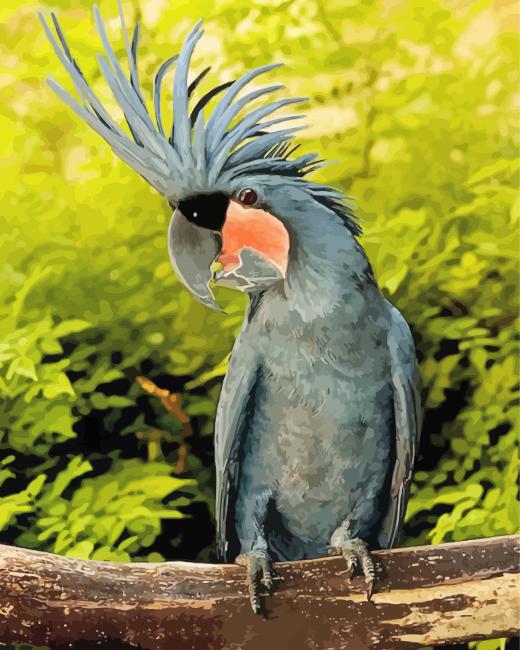 Black Cockatoo Paint By Number