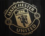 Black Manchester United Logo Paint By Numbers