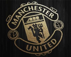 Black Manchester United Logo Paint By Numbers
