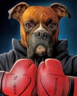 Cool Boxer Dog Paint By Number
