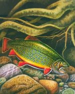 Brook Trout Fish Underwater Paint By Numbers