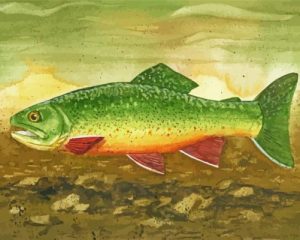 Brook Trout Paint By Numbers