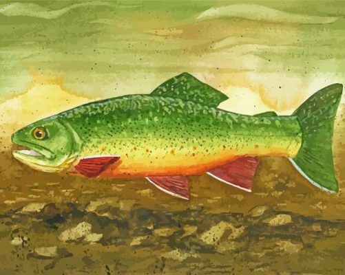 Brook Trout Paint By Numbers