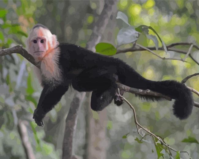 Capuchin Monkey On Branch Paint By Number