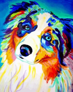 Colorful Mini Australian Shepherd Paint By Number