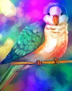 Colorful Quaker Parrot Paint By Number