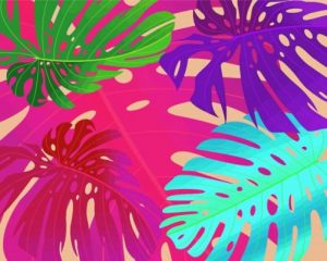 Colorful Monstera Leaves Paint By Numbers