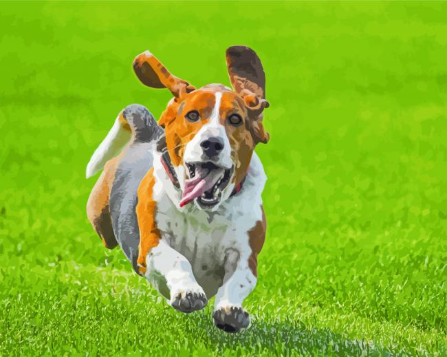 Cute Basset Hounds Animal Paint By Number