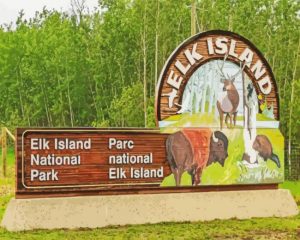 Elk Island National Park Edmonton Paint By Number