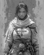 Female Templar Knight Paint By Number