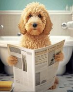 Goldendoodle Reading Newspaper paint by number