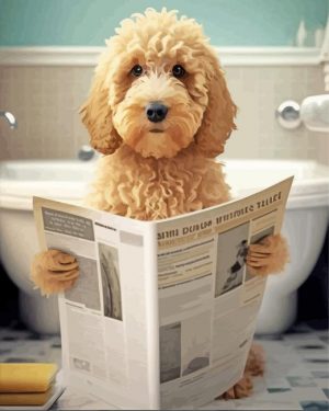 Goldendoodle Reading Newspaper paint by number