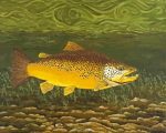 Lake Trout Fish Paint By Numbers