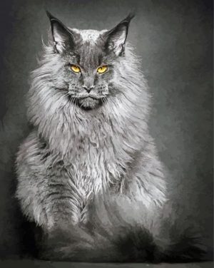 Maine Coon Cat Paint By Number