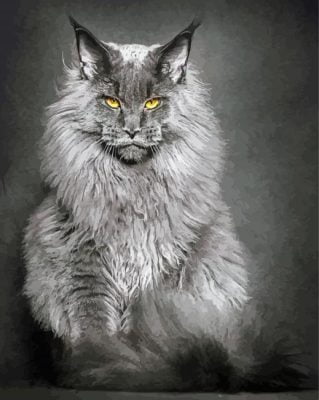 Maine Coon Cat Paint By Number