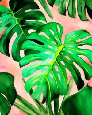 Monstera Green Leaves Paint By Numbers